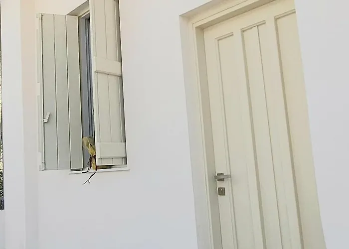 Apartmán Adorable Downtown